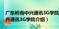廣東嶺南中興通訊3G學院(關于廣東嶺南中興通訊3G學院介紹)