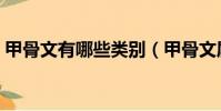 甲骨文有哪些類別(甲骨文屬于哪一類文字)