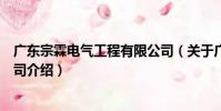廣東宗霖電氣工程有限公司(關于廣東宗霖電氣工程有限公司介紹)