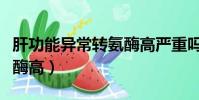 肝功能異常轉氨酶高嚴重嗎(肝功能異常轉氨酶高)