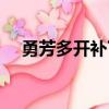 勇芳多開補丁解版下載（勇芳多開補丁）