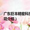 廣東巨豐精密科技有限公司（關于廣東巨豐精密科技有限公司介紹）