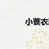 小蓑衣藤（關于小蓑衣藤簡介）