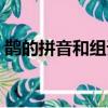 鵲的拼音和組詞是什么寫（鵲的拼音和組詞）