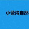 小營溝自然村（關于小營溝自然村簡介）