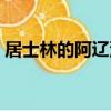 居士林的阿遼沙（關于居士林的阿遼沙簡介）