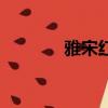 雅宋紅木董事長（雅宋紅木）