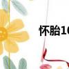 懷胎10月怎么算（懷胎10月）