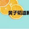 黃子韜道歉會（黃子韜發文告別節目）