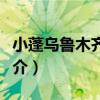 小蓬烏魯木齊個體（關于小蓬烏魯木齊個體簡介）