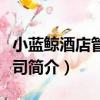 小藍鯨酒店管理公司（關于小藍鯨酒店管理公司簡介）