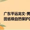 廣東平遠龍文-黃田省級自然保護區（關于廣東平遠龍文-黃田省級自然保護區介紹）