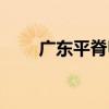 廣東平脊甲（關于廣東平脊甲介紹）