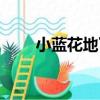 小藍花地丁（關于小藍花地丁簡介）