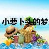 小蘿卜頭的夢想（關于小蘿卜頭的夢想簡介）