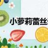 小蘿莉蕾絲裝（關于小蘿莉蕾絲裝簡介）