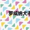 羅威納犬市場價多少（羅威納犬價格）