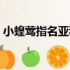 小蝗鶯指名亞種（關于小蝗鶯指名亞種簡介）