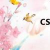CS暑校CEO（cs暑校）