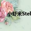 小蝦米Stella（關于小蝦米Stella簡介）