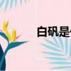 白礬是什么味道（白礬是什么）