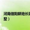 河南信陽耕地長別墅拆除進展（河南信陽政府回應耕地建別墅）