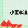 小董家遺址（關于小董家遺址簡介）