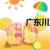 廣東川力（關于廣東川力介紹）