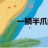 一鱗半爪的意思是什么（一鱗一爪）
