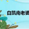 白凱南老婆最大mv女主（白凱南老婆）