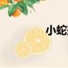 小蛇蓮（關于小蛇蓮簡介）