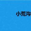 小荒溝村（關于小荒溝村簡介）