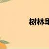 樹林里住著（樹林里的上帝）