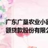 廣東廣墾農業小額貸款股份有限公司（關于廣東廣墾農業小額貸款股份有限公司介紹）