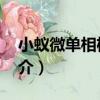 小蟻微單相機M1（關于小蟻微單相機M1簡介）