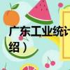 廣東工業統計年鑒（關于廣東工業統計年鑒介紹）