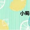 小蜀山（關于小蜀山簡介）