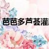 芭芭多蘆薈灌膚咋樣（芭芭多蘆薈灌膚好嗎）