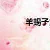 羊蝎子火鍋做法（羊蝎子火鍋）