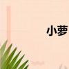 小蘿卜（關于小蘿卜簡介）
