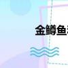 金鱒魚和虹鱒魚的區別（金鱒）
