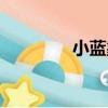 小藍象（關于小藍象簡介）