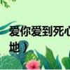 愛你愛到死心塌地是什么歌（愛你愛到死心塌地）