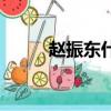 趙振東什么病逝世（費振剛去世）