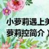小蘿莉遇上美男蘿莉控（關于小蘿莉遇上美男蘿莉控簡介）