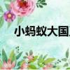 小螞蟻大國王（關于小螞蟻大國王簡介）