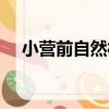 小營前自然村（關于小營前自然村簡介）