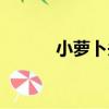 小蘿卜頭（關于小蘿卜頭簡介）