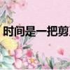 時間是一把剪刀主要內容（時間是一把剪刀）