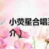 小熒星合唱系列5（關于小熒星合唱系列5簡介）